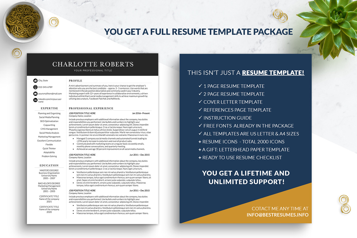 Business Resume CV/Template Word, a Resume Template by BestResumes.Co (Photo 6 of 7)