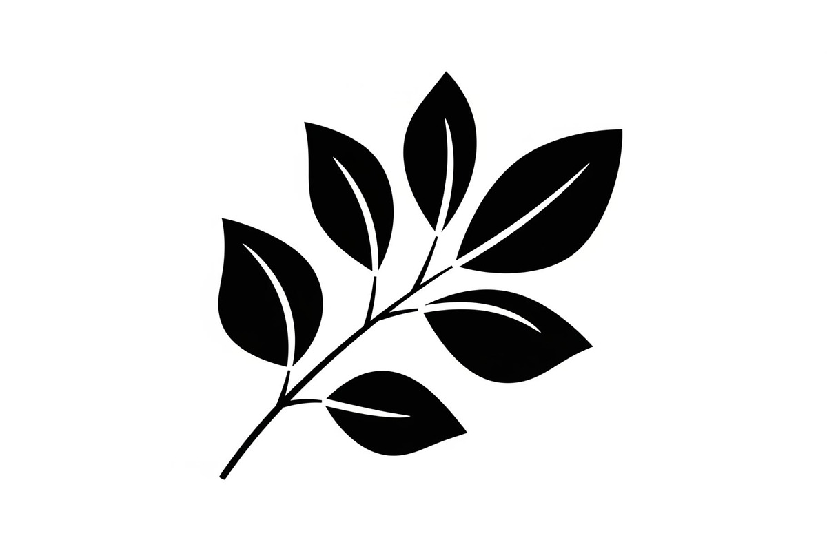 Botanical Leaf Silhouette Bundle, an Illustration by Creativeshirt (Photo 18 of 51)