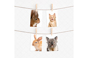 4x6 cards mockup with clothespins, a Print Template by Dorado Stock (Thumbnail 3 of 3)
