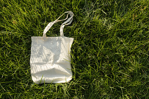 Blank reusable tote bag on green grass in sunlight ,sustainable, a Photo by salmon.black