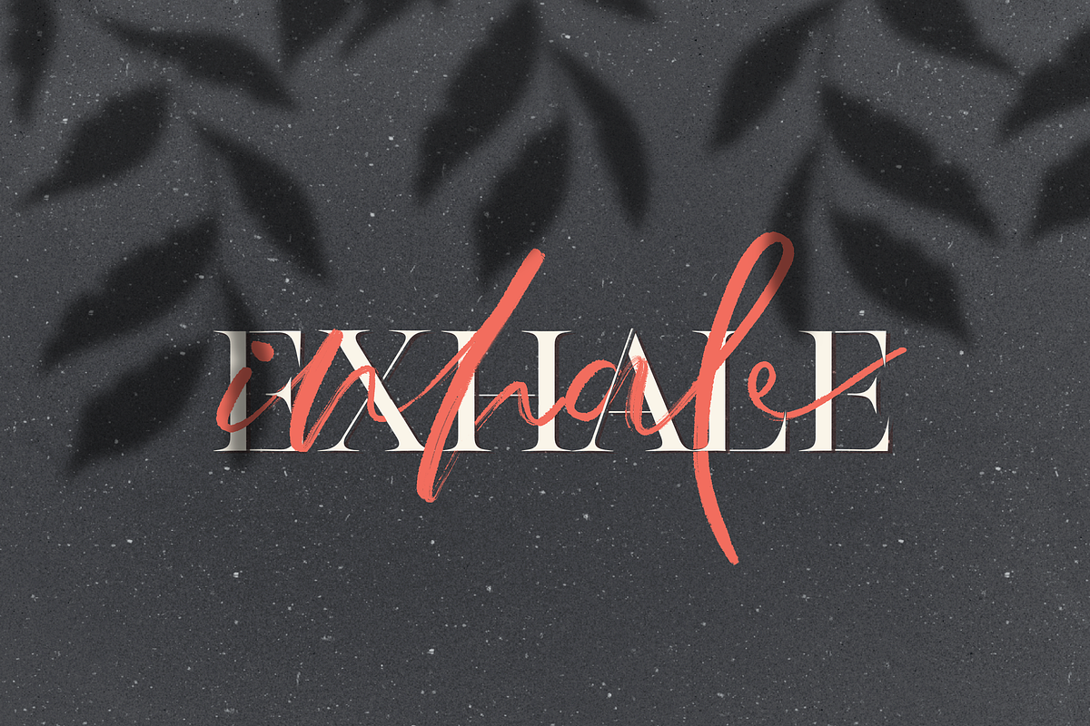 Wild Shadow Overlays for Procreate, a Brush Add-On by OkayAnnie Designs (Photo 4 of 9)
