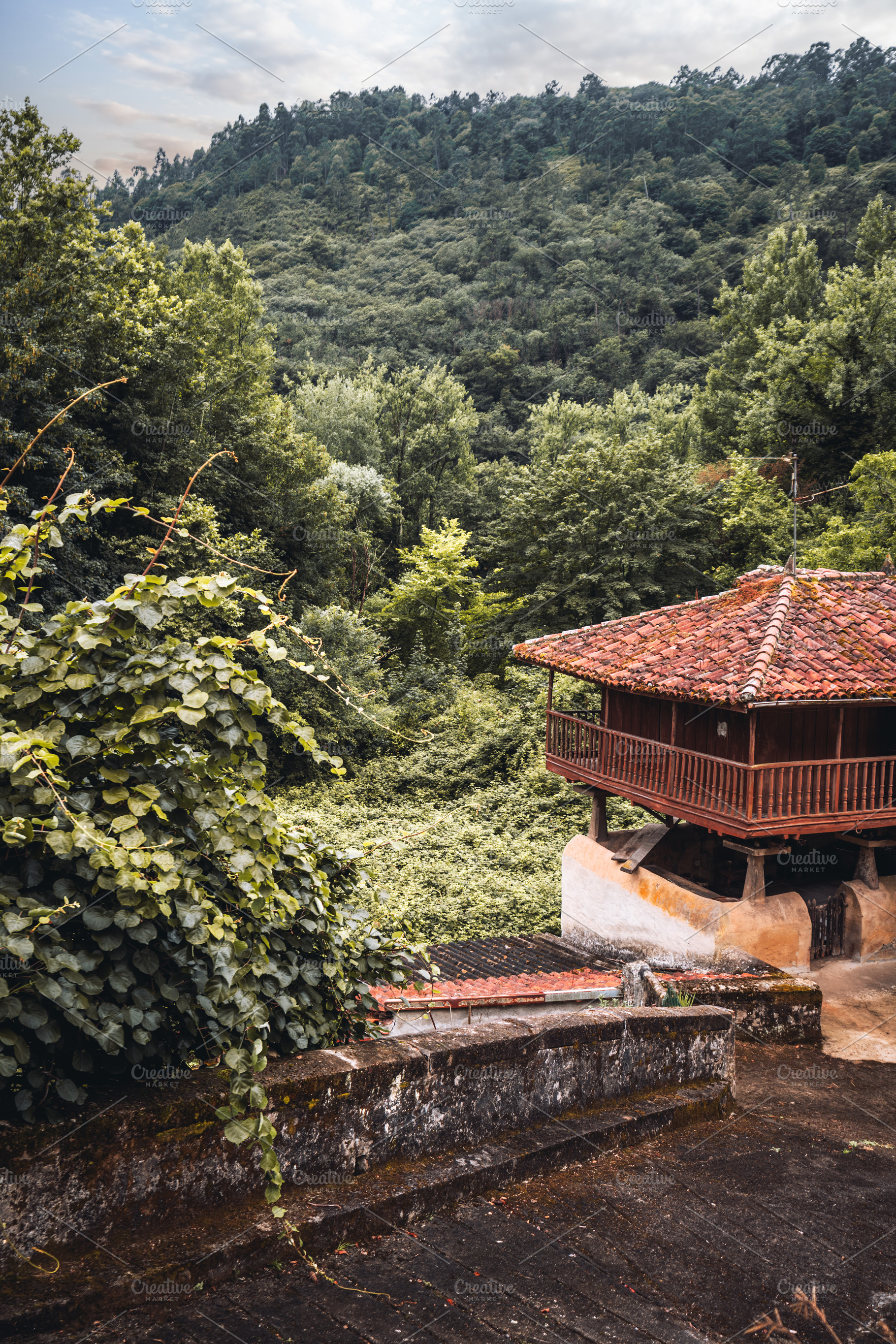 Asturian horreo in forest, an Architecture Photo by SkyNext