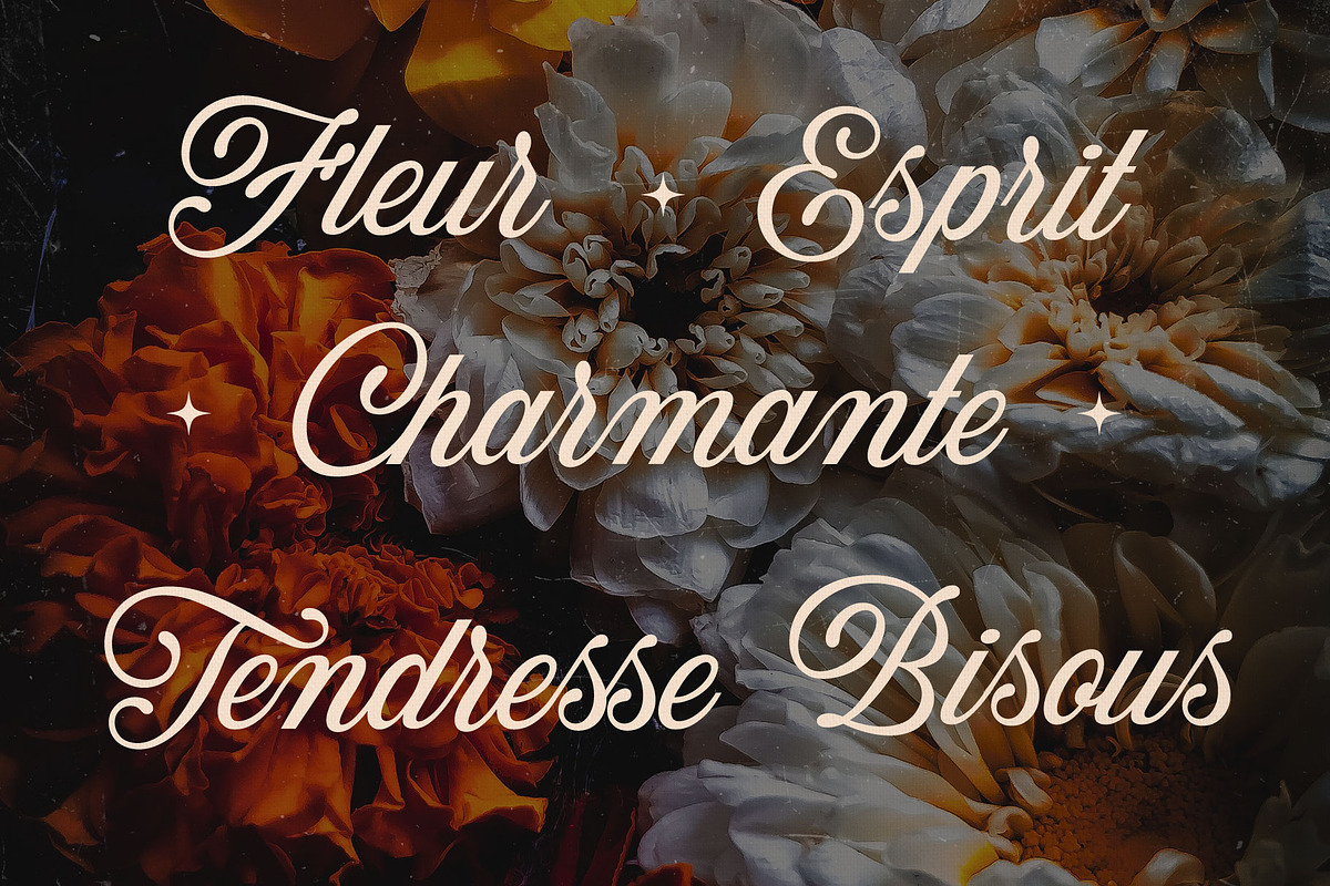 Les Liaisons Dangereuses Font Duo, a Slab Serif Font by Aurelie Maron (Photo 8 of 9)