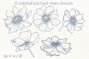 Anemones. Pencil and gold collection, a Decorative Illustration by DamriNa art (Thumbnail 3 of 10)