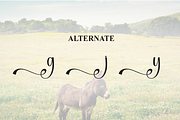 Donkey | Script Font, a Handwritten Font by Scratchones (Thumbnail 8 of 9)