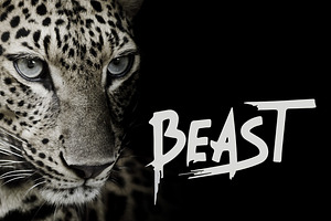 Beast - Brush Font