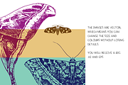 Moths - vector illustration set, an Animal Illustration by Renée from Studio neetje (Thumbnail 4 of 5)