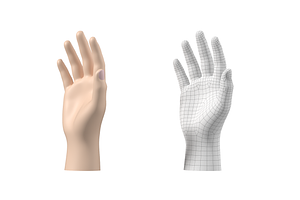 Endomorph Male Hand Base Mesh 02