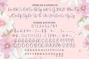 Hailey | Script Font, a Handwritten Font by Scratchones (Thumbnail 7 of 9)