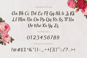 Casseron - Lovely Script Typeface