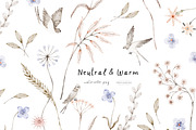 Neutral&Warm watercolor png, a Decorative Illustration by erasovas (Thumbnail 1 of 9)