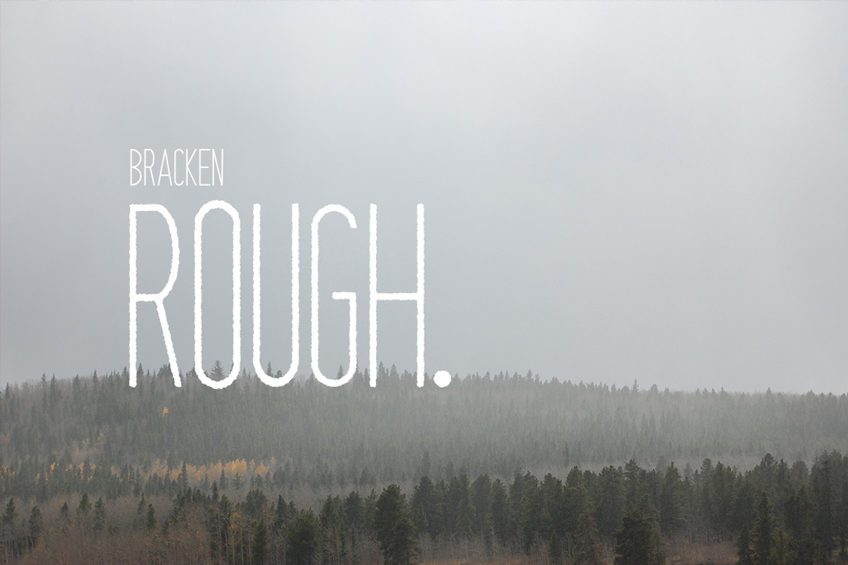 Bracken | A Hipster Font Family, a Sans Serif Font by Zone 6 (Photo 4 of 8)