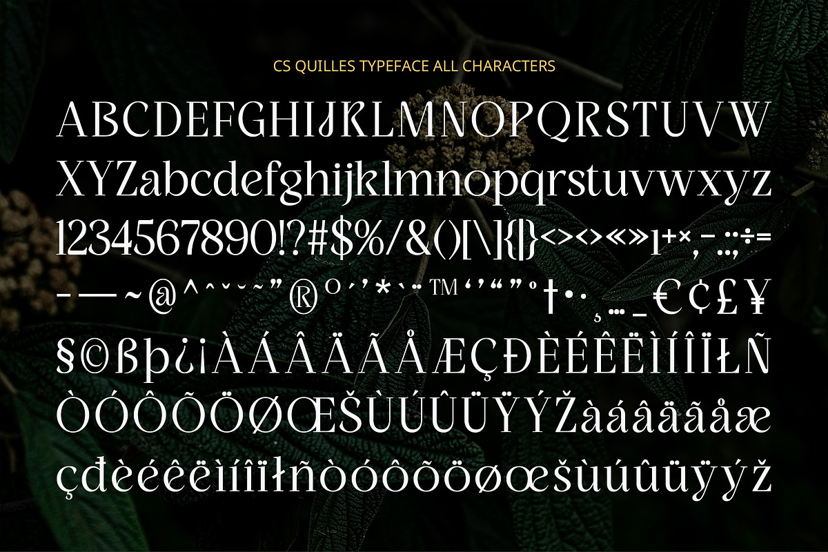CS Quiles – Elegant Font, a Serif Font by Craft Supply Co. (Photo 8 of 8)