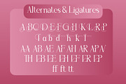 Deanley, a Serif Font by Rishsketch (Thumbnail 8 of 11)