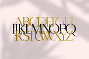 Calmius Extra Light, a Serif Font by NREY (Thumbnail 8 of 11)