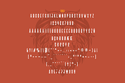 Singa, a Sans Serif Font by Linecreative (Thumbnail 8 of 8)