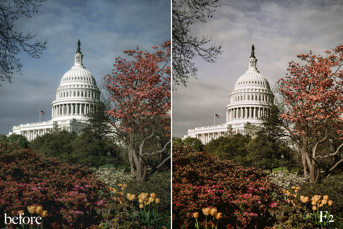 20 Natural Lightroom Presets, an Action Add-On by Olg Store (Photo 4 of 24)