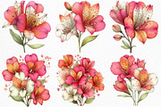 Spring Alstroemeria Flowers Clipart, an Illustration by Craft Nest (Thumbnail 11 of 11)