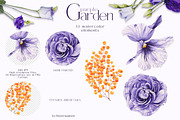 Watercolor Flowers Set Purple Garden, a Decorative Illustration by ViktoriyaD (Thumbnail 5 of 14)