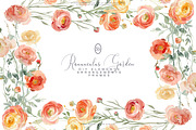 Watercolor Ranunculus Clipart Set, a Decorative Illustration by Patishop Art (Thumbnail 5 of 10)