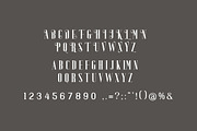 Zanie Brovia Display Serif Font, a Serif Font by UICreative (Thumbnail 2 of 6)