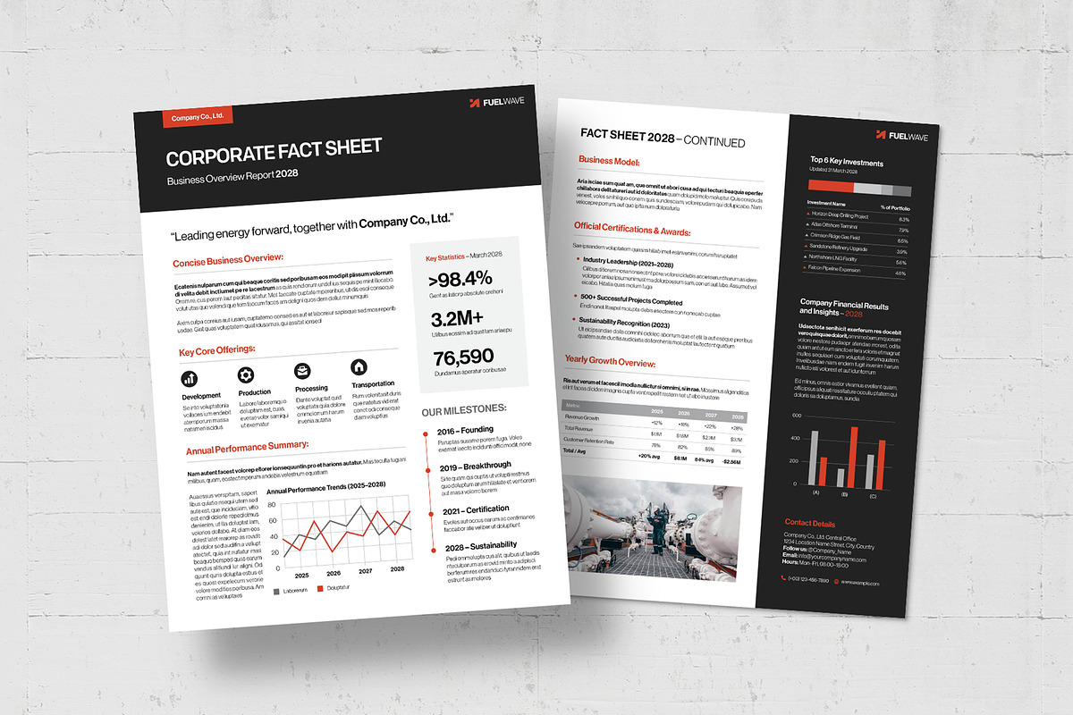 Factsheet Template, a Flyer Template by BrandPacks (Photo 5 of 5)