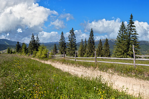 Summer Gorgany massiv mountains scenery view from Sevenei hill (, a Nature Photo by YuriyB