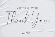 Claster Oleander, a Font by ToniStudio (Thumbnail 11 of 11)