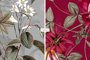 Seamless Floral Patterns And Motifs, a Pattern Graphic by LEAFure (Thumbnail 8 of 10)