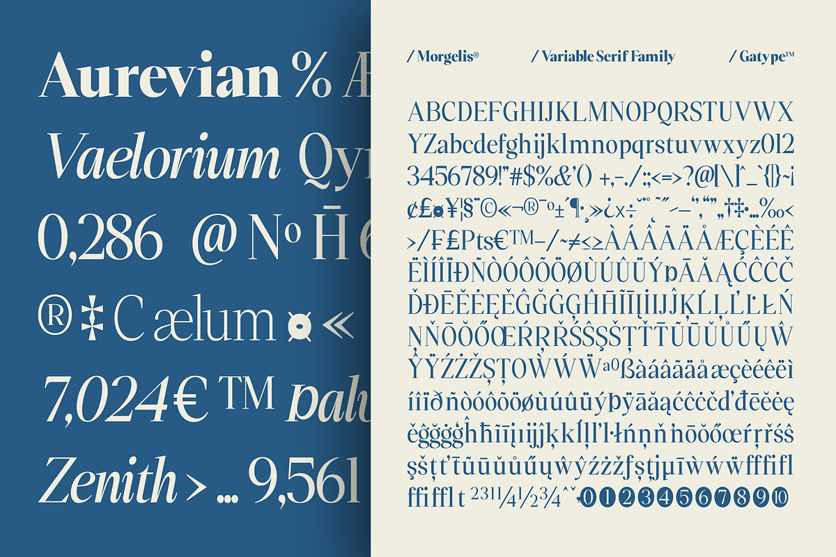Morgelis, a Serif Font by Gatype (Photo 5 of 15)