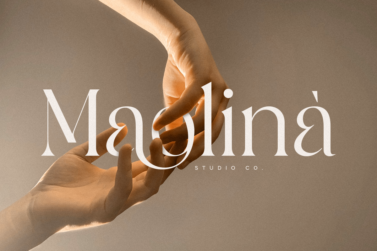 Bailey - Classy Luxury Logo Font, a Serif Font by Sensatype (Photo 2 of 13)