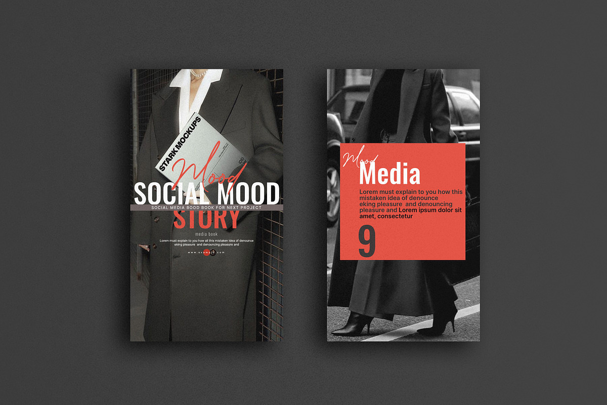 Social Media Story Guide, a Social Media Template by Aura Agency (Photo 2 of 6)