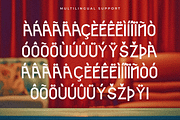 Broger - Modern Display Font, a Font by overlaytemplates (Thumbnail 5 of 5)