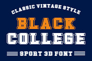 Black College - Vintage Font, a Slab Serif Font by Fourteen Letter (Thumbnail 2 of 8)