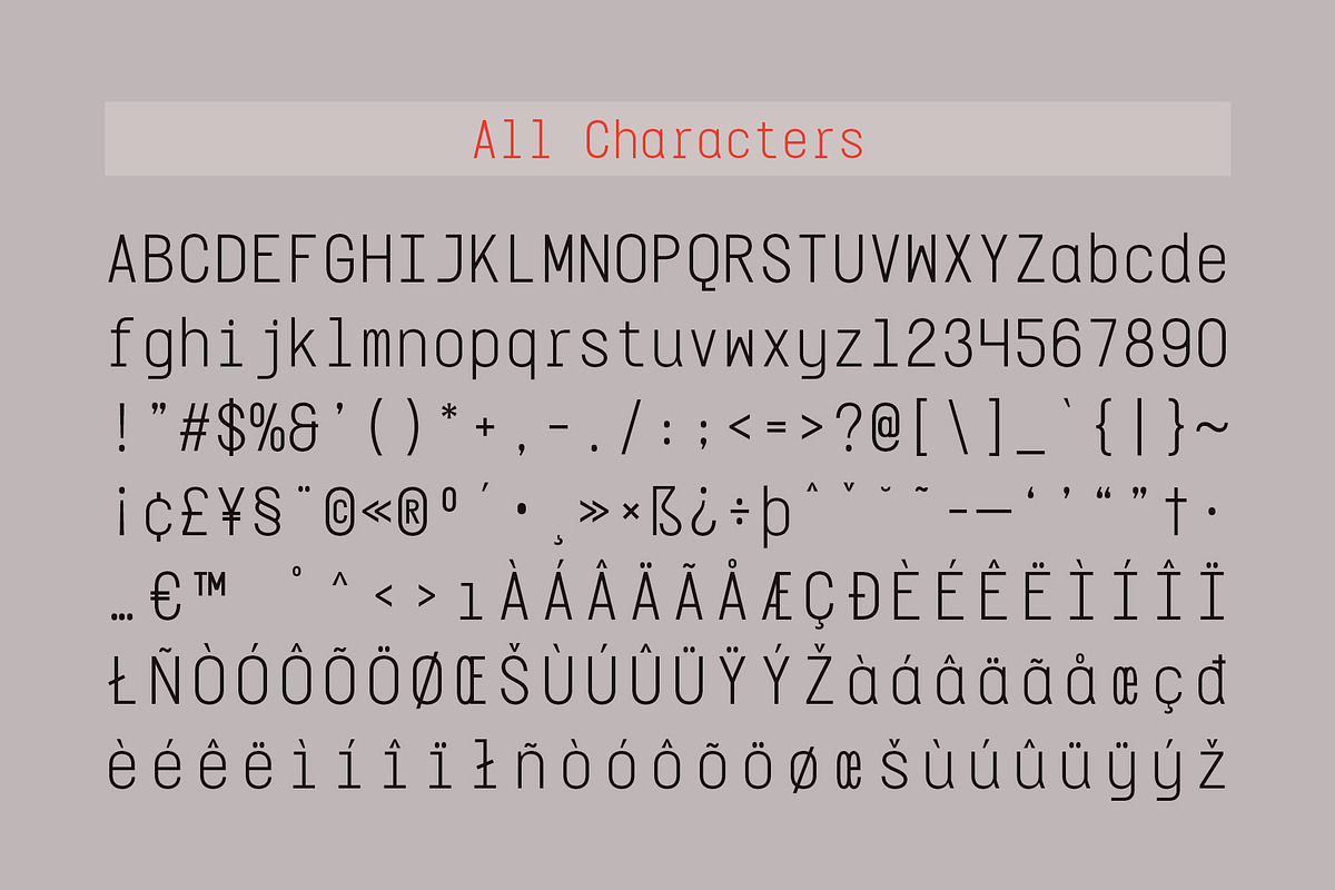 CS Diego Mono – Sans Serif Typeface, a Sans Serif Font by Craft Supply Co. (Photo 8 of 8)