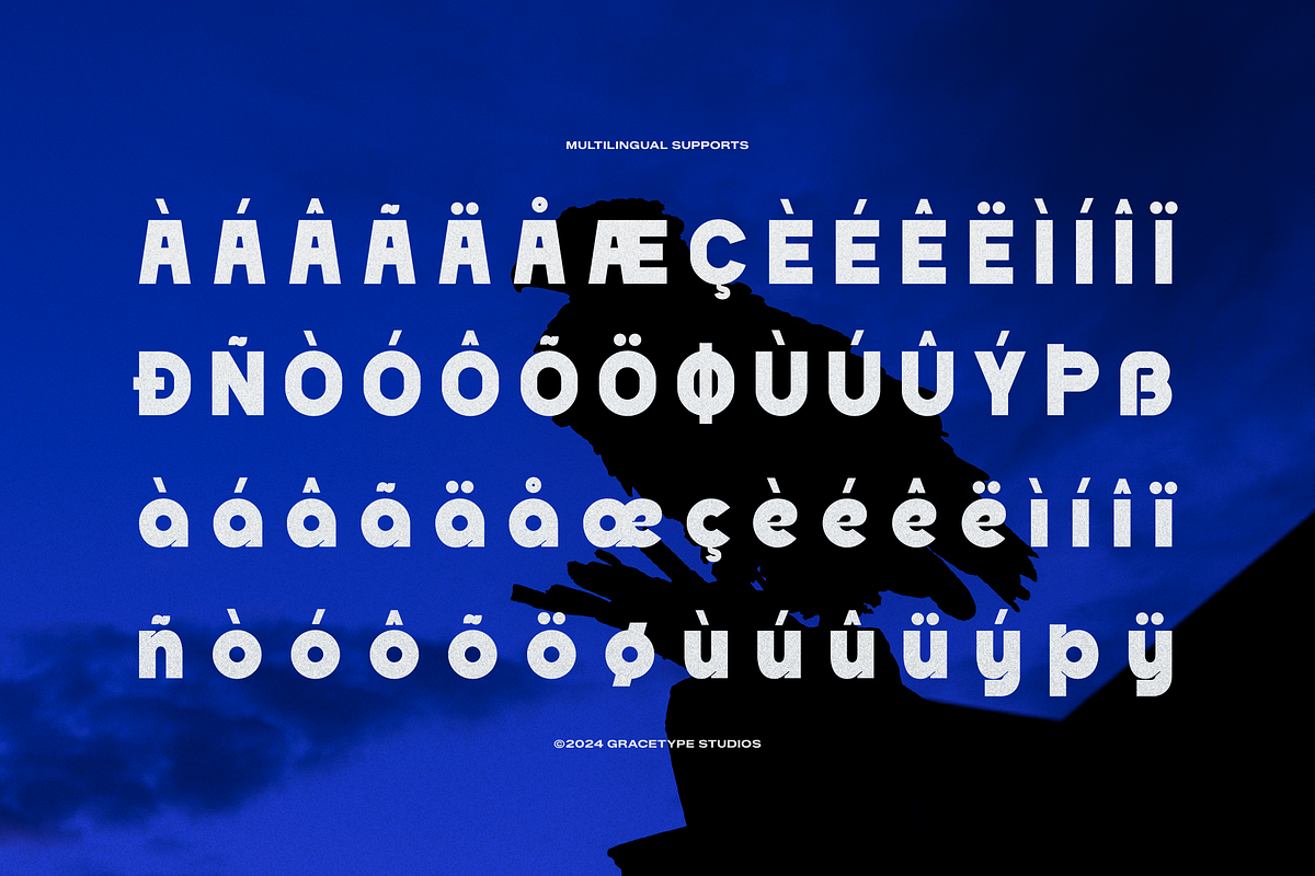 Dejorn | Display Sans Serif, a Sans Serif Font by gracetype_studio (Photo 12 of 12)