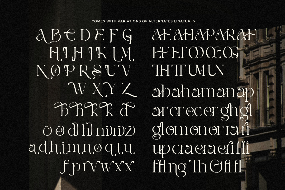 Pearce Vogue - Luxury Serif, a Serif Font by Qweera Studio (Photo 9 of 10)