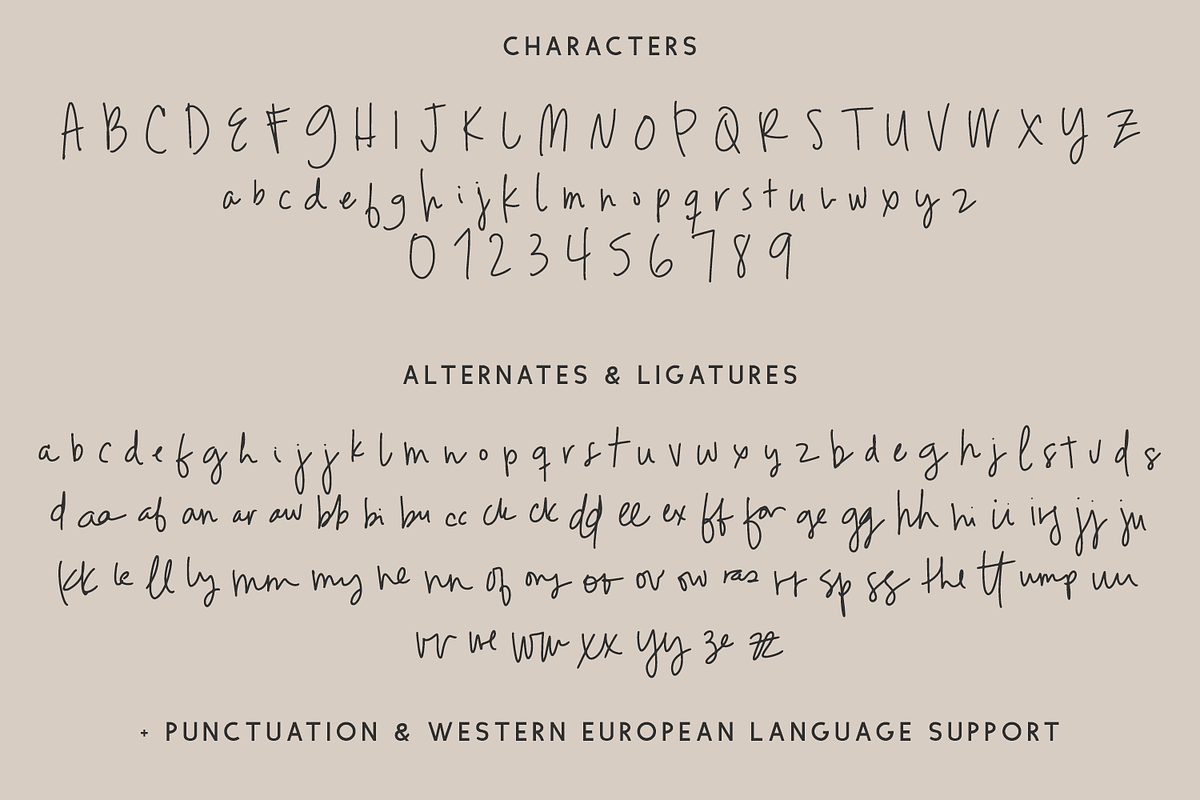Parallaxes Script, a Handwritten Font by Beck McCormick (Photo 10 of 10)