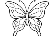 Butterfly SVG Bundle, an Object Graphic by Gfx_Store (Thumbnail 5 of 16)