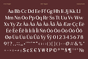 Cike – Flare Luxury Sans Typeface, a Serif Font by Casloop Studio (Thumbnail 9 of 10)