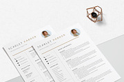 Resume Template Creative, a Resume Template by LucaTheme (Thumbnail 6 of 10)