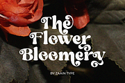 Gary, a Serif Font by zaaintype (Thumbnail 3 of 10)