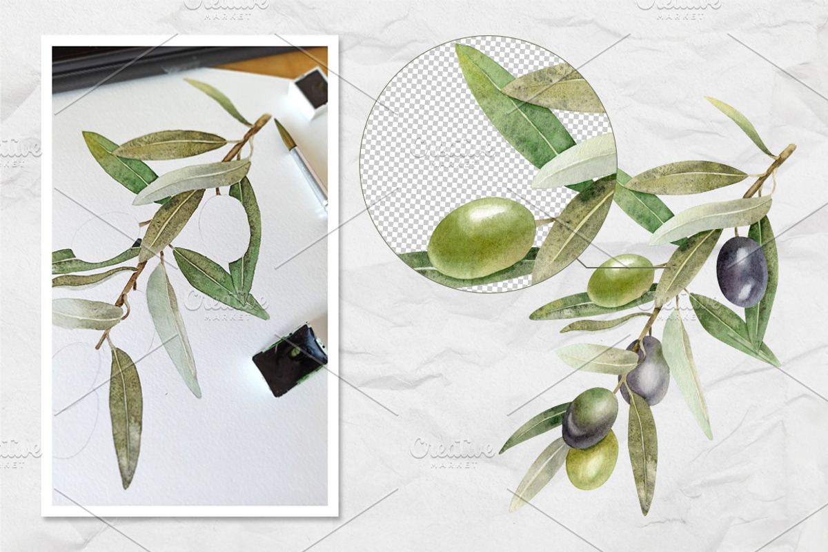 Olive Watercolor Illustrations, a Food Illustration by Fedulova Art (Photo 4 of 14)