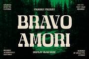 Bravo Amori | Display Slab Serif, a Slab Serif Font by gracetype_studio (Thumbnail 1 of 12)