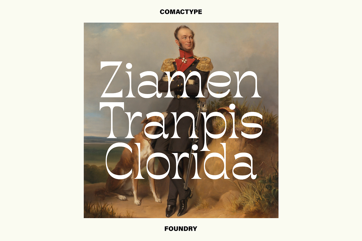 Rompluck - A Display Typeface, a Serif Font by Comactype Foundry (Photo 6 of 20)