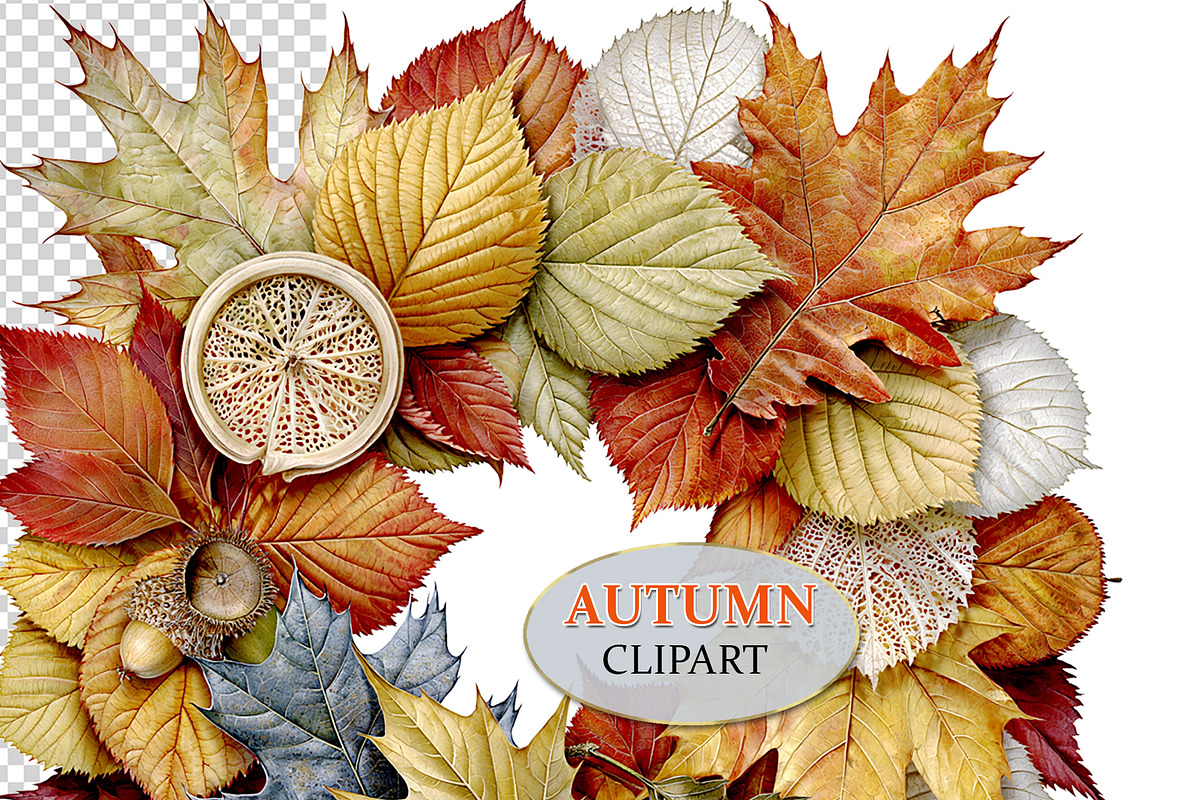 Luxury Clipart Autumn Leaves Wreath, a Decorative Illustration by Area (Photo 29 of 40)