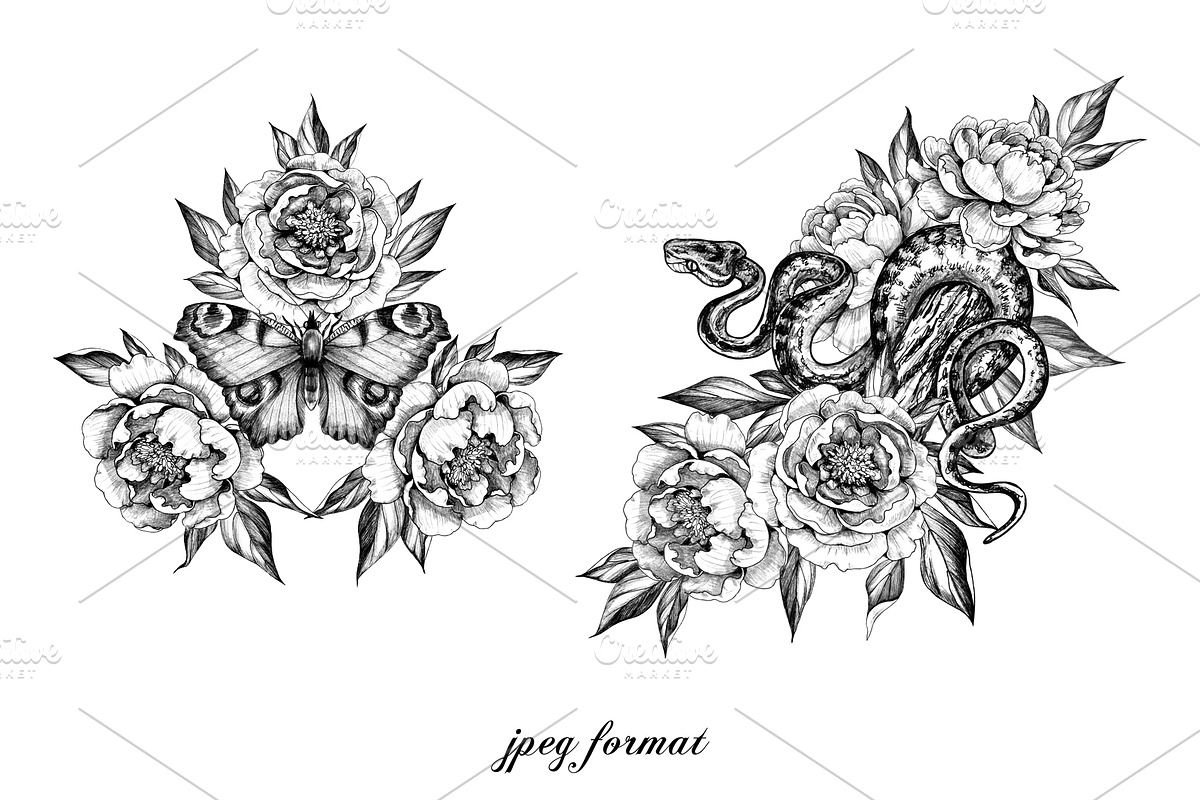 Hand Drawn Peonies, a Decorative Illustration by Valentyna Smordova (Photo 5 of 6)