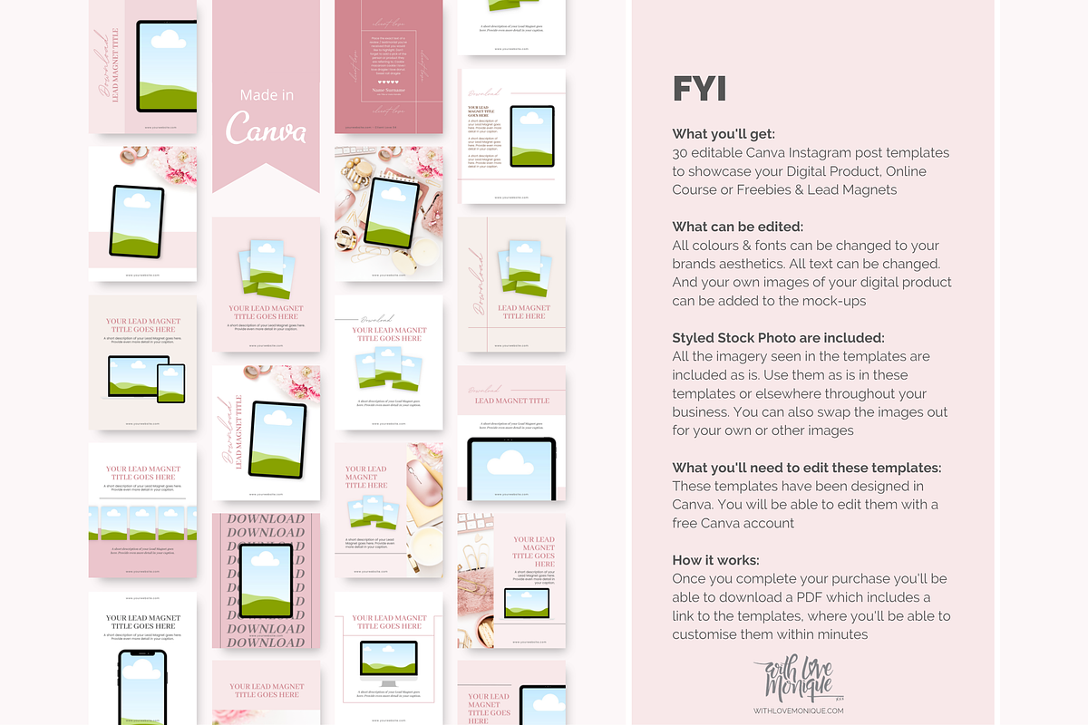 30 Instagram Story Lead Magnet Promo, a Social Media Template by With Love Monique (Photo 6 of 9)