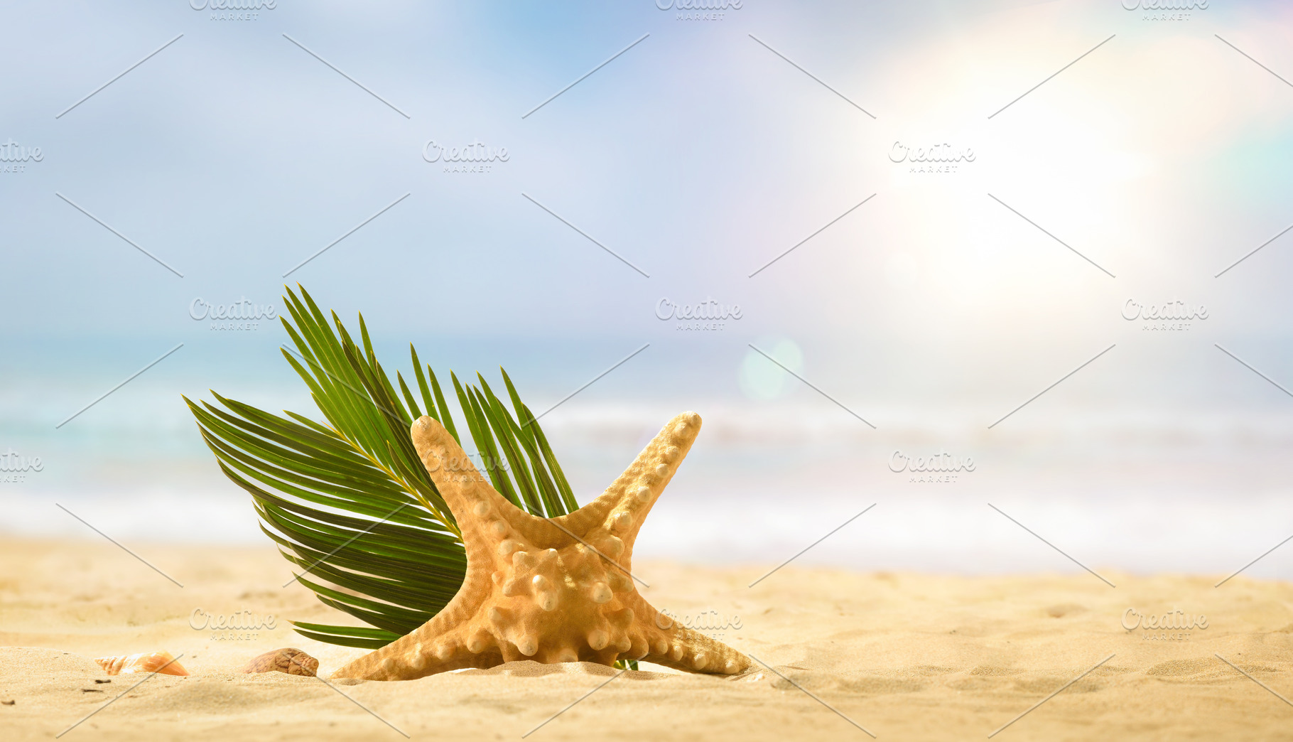 Starfish with Palm Leaf on Beach, a Holiday Photo by Davizro's Market