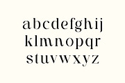 Brigton Newport Serif Font, a Serif Font by UICreative (Thumbnail 8 of 13)